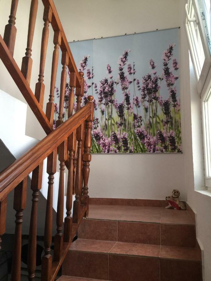 Apartments Villa Dolmar Vodice Exterior foto